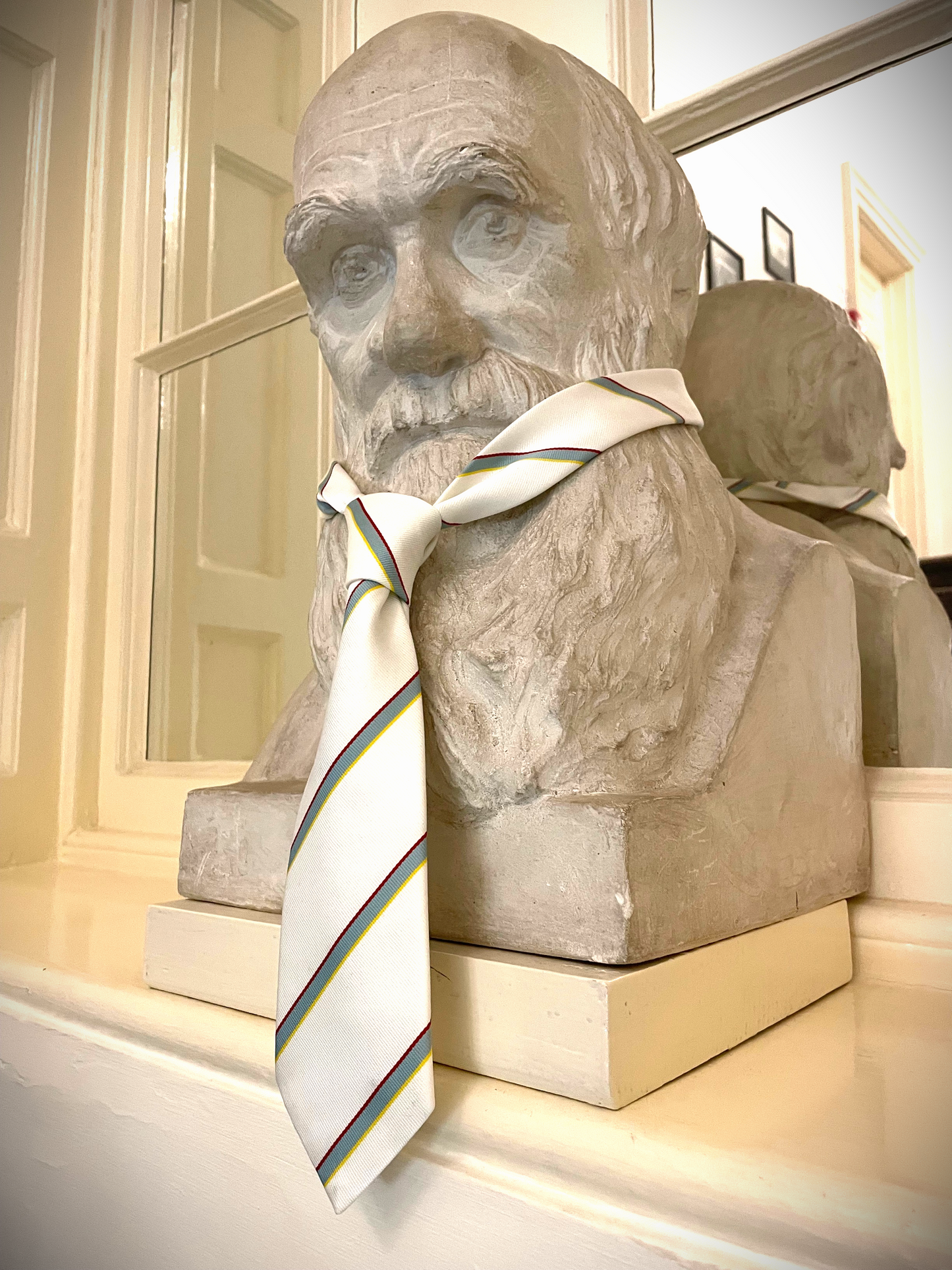 Darwin College Tie