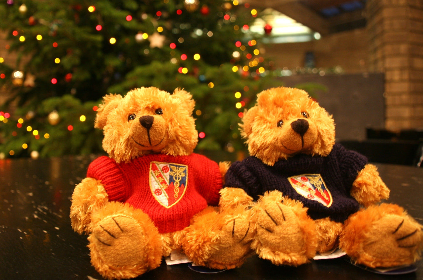 Darwin Teddy-Bear