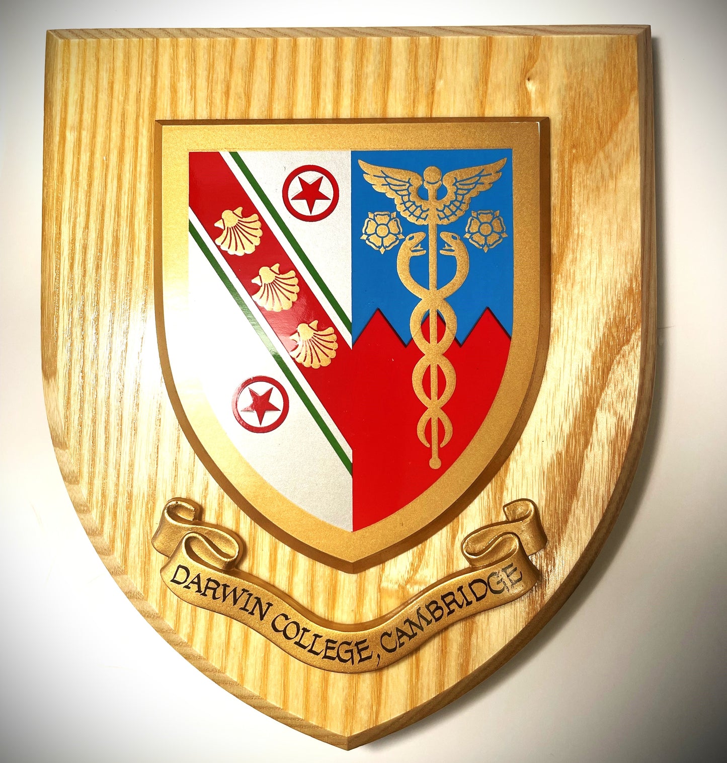 Darwin Wooden Plaque