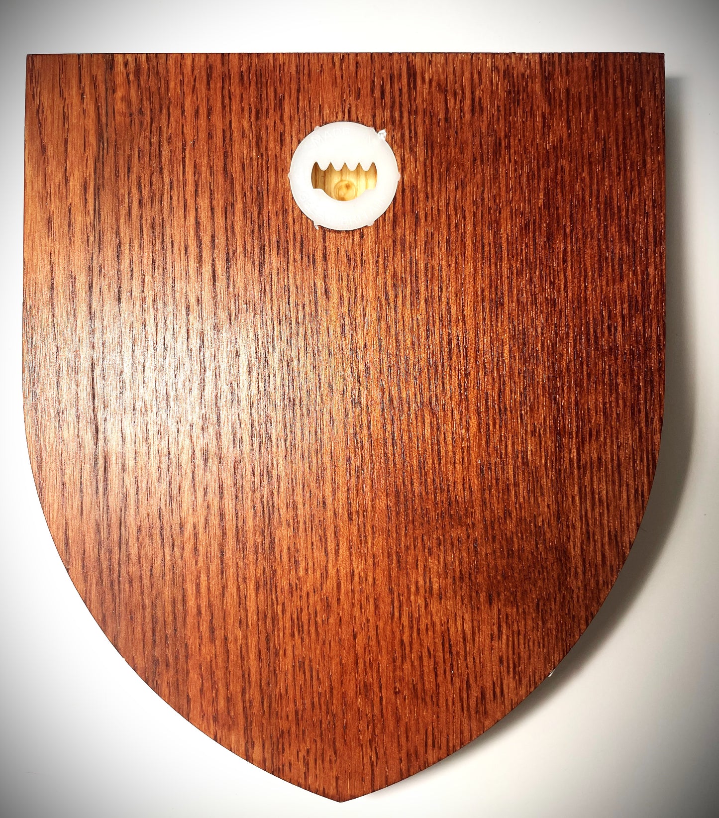 Darwin Wooden Plaque