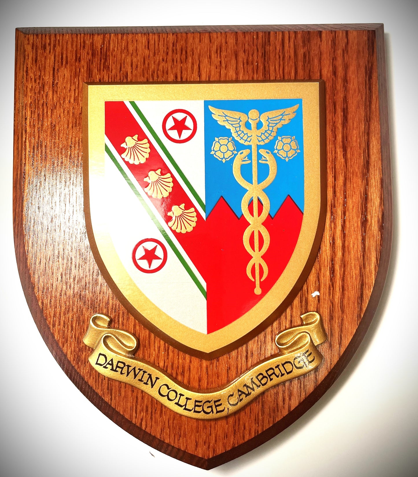 Darwin Wooden Plaque