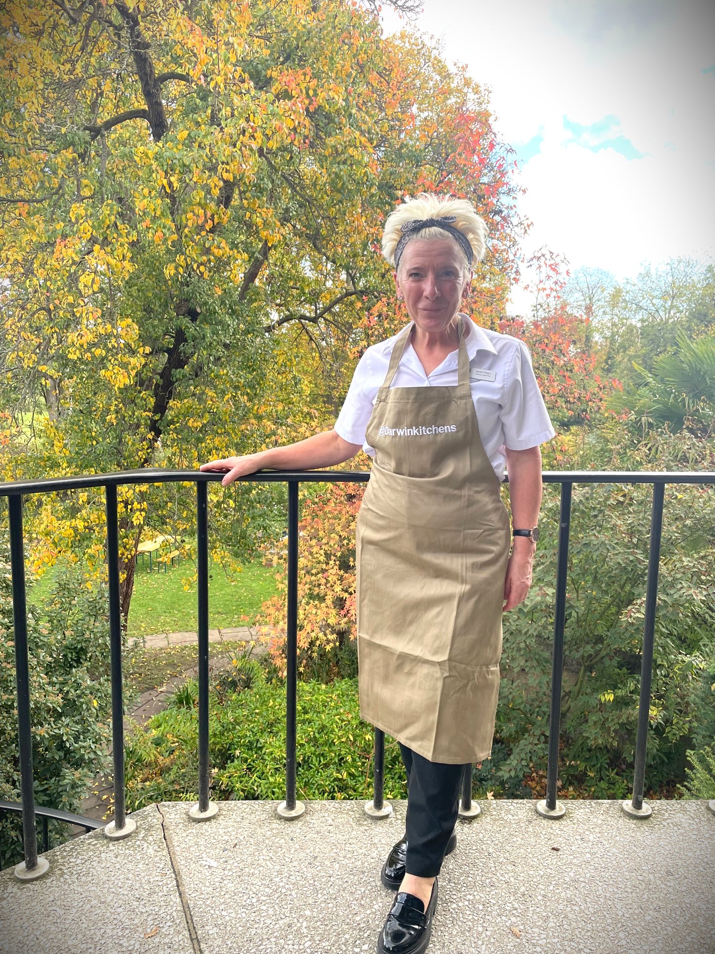 Darwin College Apron