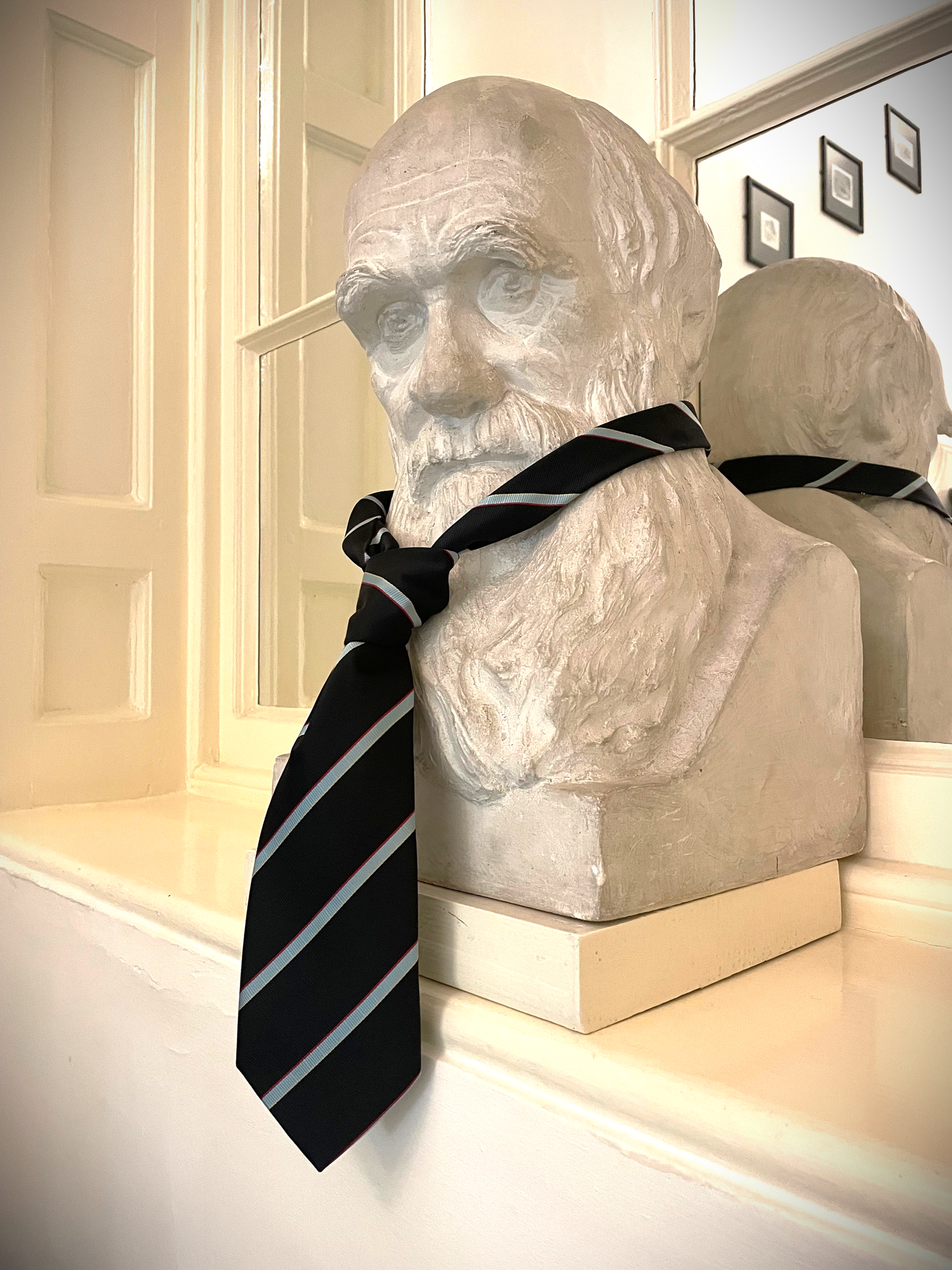 Darwin College Tie