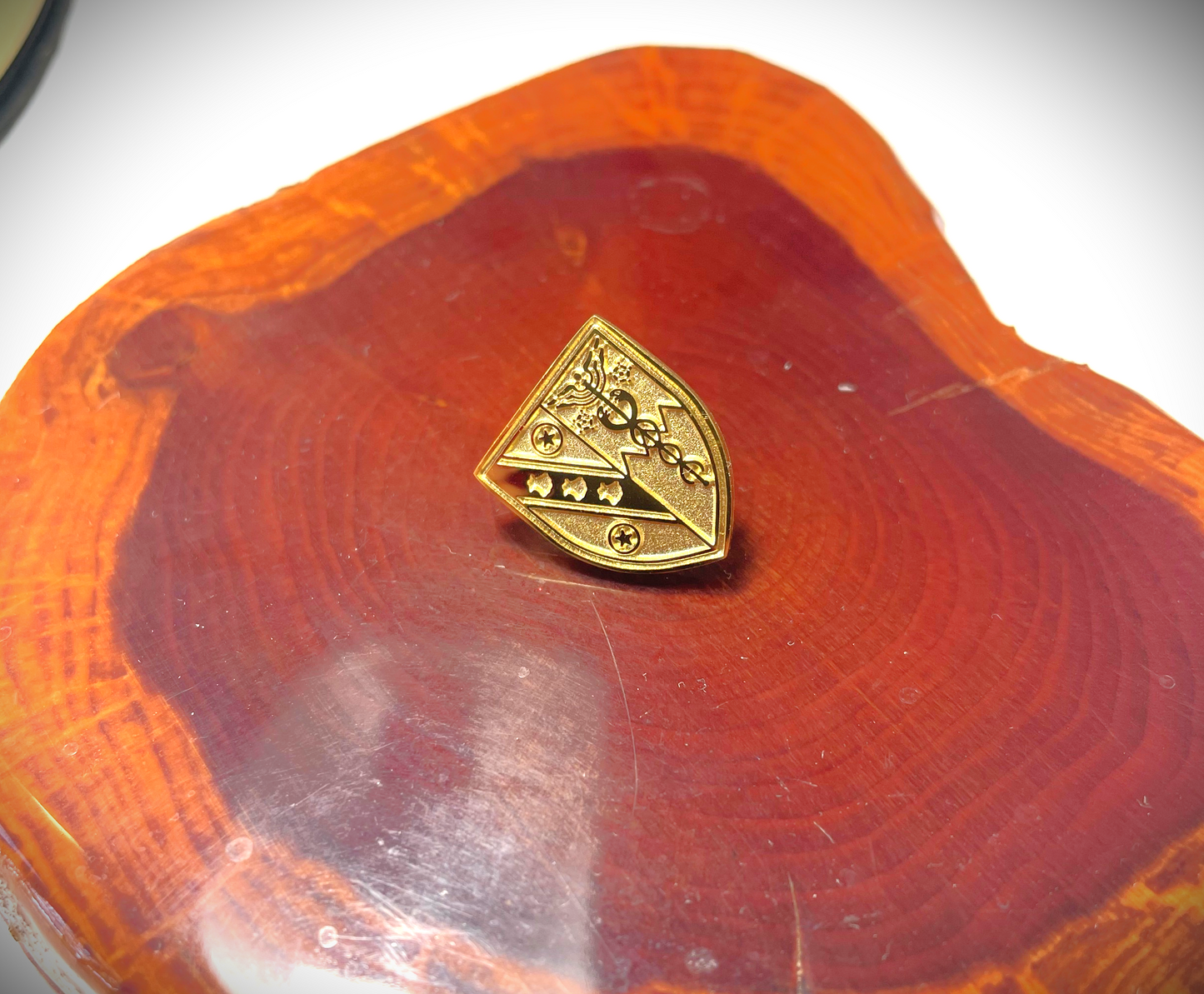 Darwin College Shield Crest Pin Badge