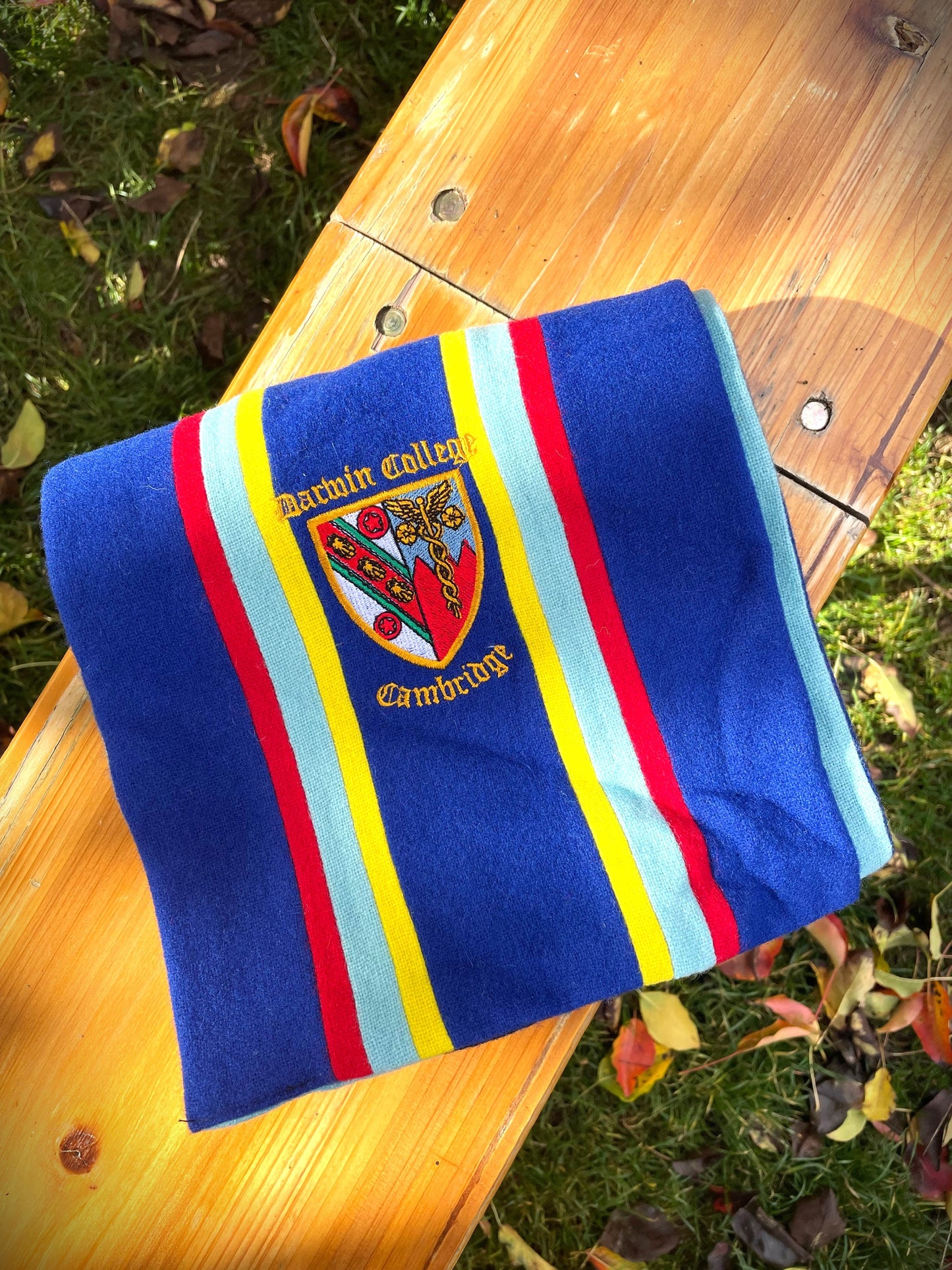Darwin & Cambridge University Reversible Scarf
