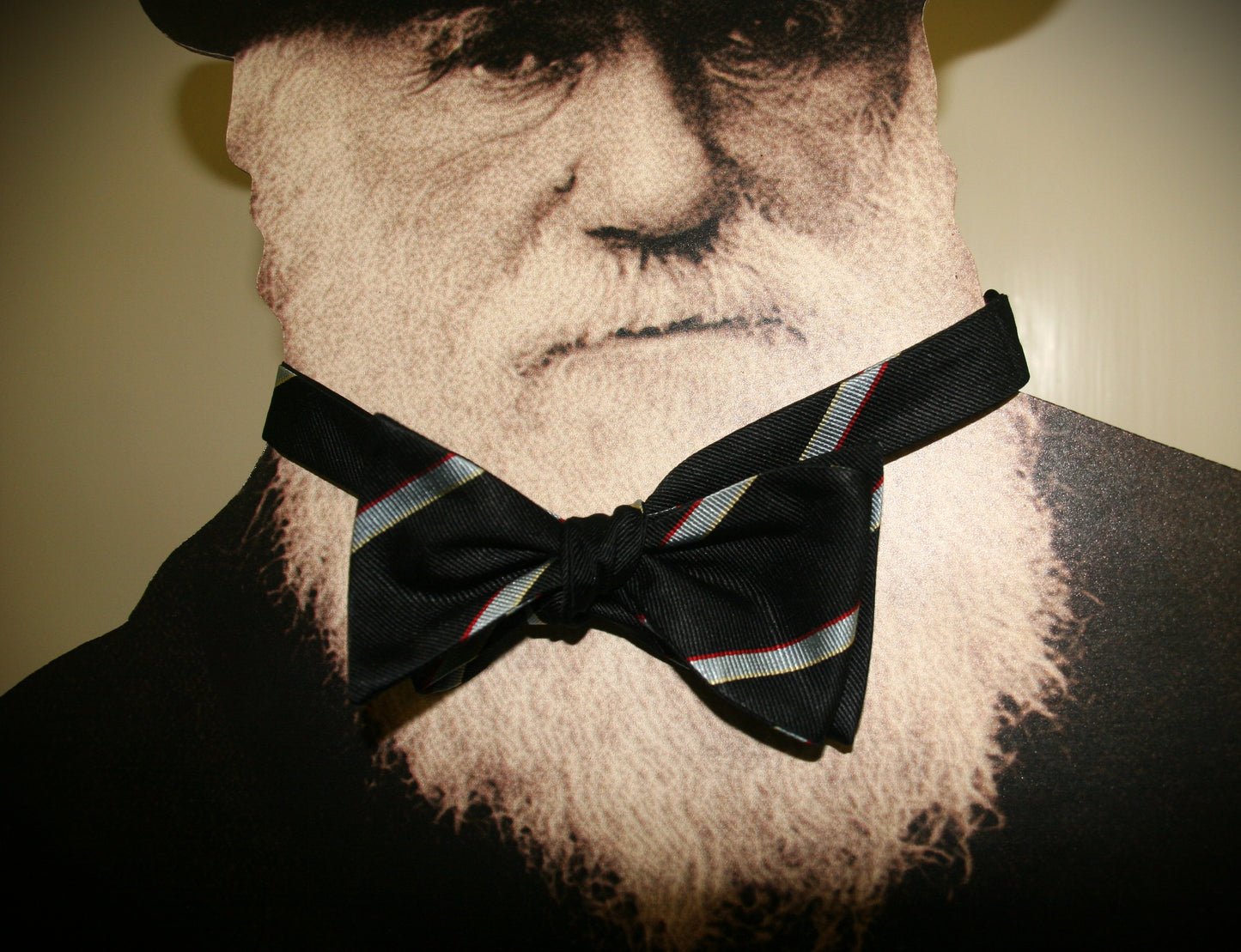 Darwin College Bow Tie