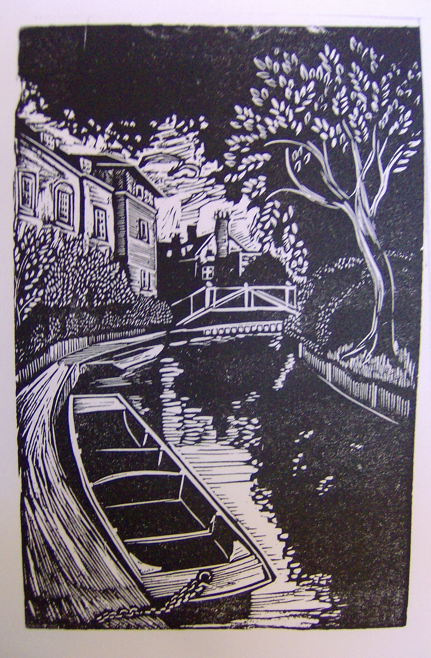 Punts at Darwin Mounted Print